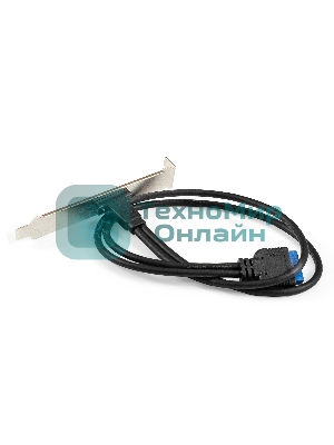 Планка портов в корпус Type-C ExeGate BrctUSB3-1C (USB 3.2 Gen1 20pin (IDC 20pin F) --> USB 3.2 Gen1 Type-Cf, кабель 30 см)