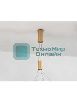 Подвесной светодиодный светильник Ambrella light FL5885/2 GD золото 45W 3000K/4200K/6400K D600/400*1200 (без ПДУ)