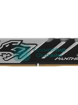 Оперативная память Apacer Panther, DDR5, 16GB (1x16GB), 6000 MHz, CL40, с радиатором, черно-серый