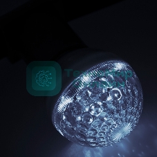 Лампа LED строб вместе с патроном для белт-лайта Ø50мм белая