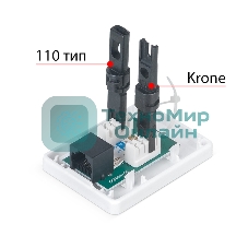 Розетка в сборе Cabeus, 1x RJ45(8P8C), кат. 6, неэкр., внешняя, белый, (WS-8P8C-Cat.6-1)