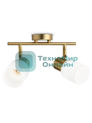 Светильник Ambrella light TR3969/2 BS/FR латунь/белый матовый  E27*2 max 40W 260*80*210