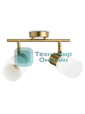 Светильник Ambrella light TR3969/2 BS/FR латунь/белый матовый  E27*2 max 40W 260*80*210