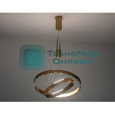 Подвесной светодиодный светильник Ambrella light FL5885/2 GD золото 45W 3000K/4200K/6400K D600/400*1200 (без ПДУ)