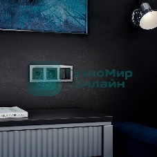 Рамка на 3 поста (серебряный) W0032406