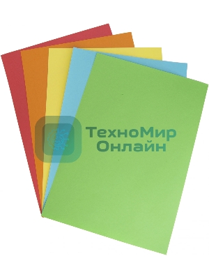 Бумага Silwerhof DAILY A4/80г/м2/100л./радуга интенсив (5цветов)