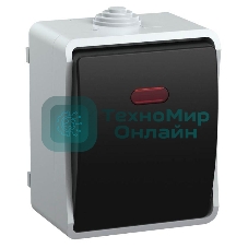 Выключатель 1-кл. ОП ФОРС 10А с подсвет. сер. IP54 ВС20-1-1-ФСр IEK EVS11-K03-10-54-DC