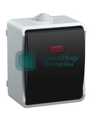 Выключатель 1-кл. ОП ФОРС 10А с подсвет. сер. IP54 ВС20-1-1-ФСр IEK EVS11-K03-10-54-DC