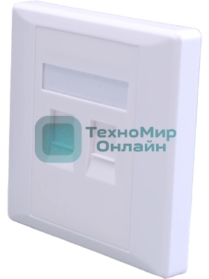 Панель Suprlan 10-0334-1, лицевая со шторкой 80x80, 2xKeystone ABS пластик, белый