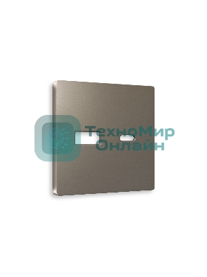 Лицевая панель ALFA (Темная бронза матовый) для розетки 2USB тип A+C QUANT AP6410