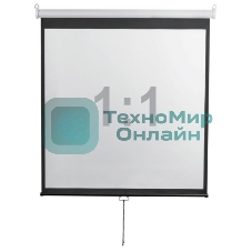 Экран 300x300см Digis Optimal-D DSOD-1108 1:1 настенно-потолочный рулонный