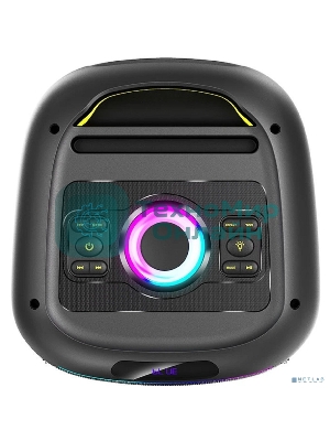 Портативная колонка Ritmix SP-770B