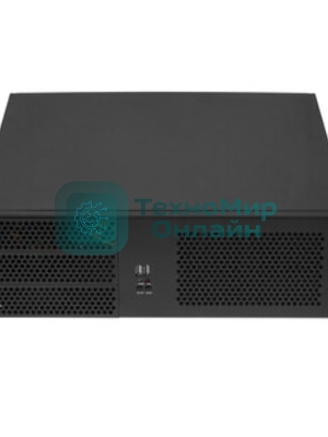 Серверный корпус ExeGate Pro EX293182RUS 3U390-08 (RM 19