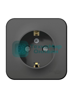 Розетка 1-м ОП Blanca 16А IP20 250 В с заземл. защ. шторки с изолир. пластиной антрацит SchE BLNRA011116