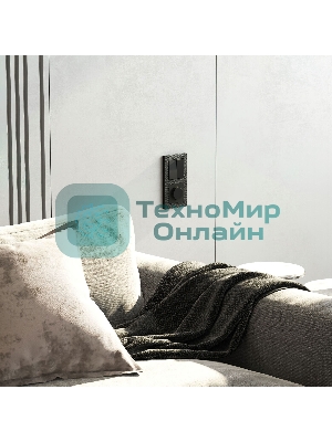 Рамка на 2 поста (черный) W0022408