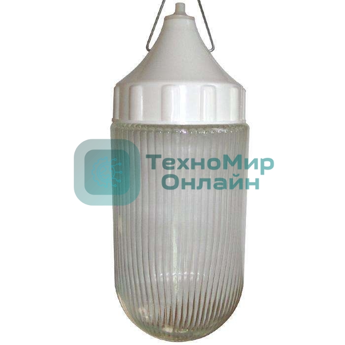 Светильник ЭЛЕТЕХ НСП 03-60-002 